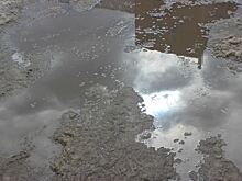 Снежный покров в Кургане сошел значительно раньше обычного