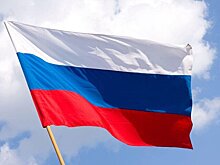Россия не получила место в исполнительном совете ОЗХО