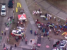 ABC: полиция установила личность одного из устроивших стрельбу в Сиднее