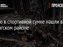 Мумию в спортивной сумке нашли в Выборгском районе