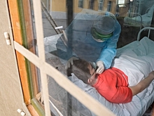 Новый штамм коронавируса нашли в Волгоградской области у ребенка и 18 взрослых