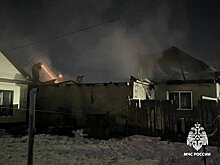Паслер: многодетную семью после пожара под Оренбургом обеспечат жильем
