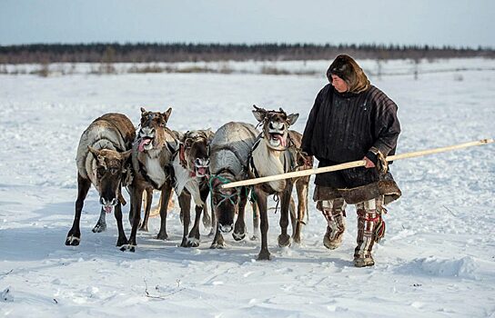 Ямальским кочевникам компенсируют покупку электротехники