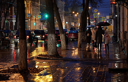 В Самарской области 2 ноября ожидается дождь со снегом