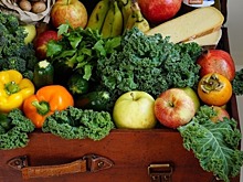 Россельхознадзор отчитался об уничтожении 17,5 тонны санкционной продукции за два года