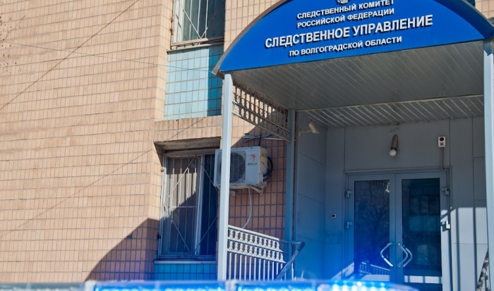 Бастрыкин поручил доложить о нападении на маму участника СВО под Волгоградом