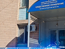 Бастрыкин отреагировал на обращения граждан из Волгоградской области