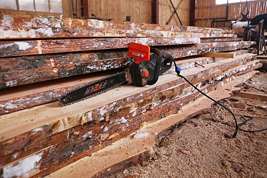 Минприроды предложило запретить еще одну схему незаконного оборота древесины