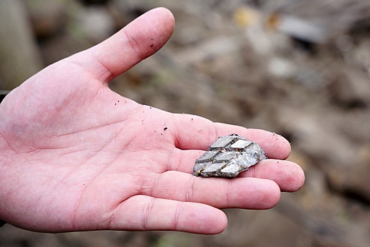 Губернатор Александр Богомаз сообщил об обстреле брянского села Курковичи ВСУ