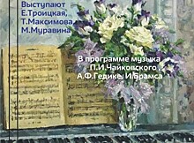 В библиотеке №183 состоится концерт «Фортепианные трио романтизма» 28 января