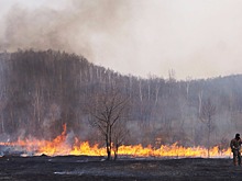 Прокуратура нашла нарушения в борьбе заповедников с пожарами