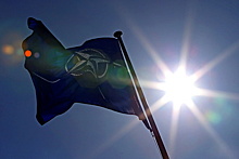 В Киеве предложили НАТО создать дайджест украинских реформ