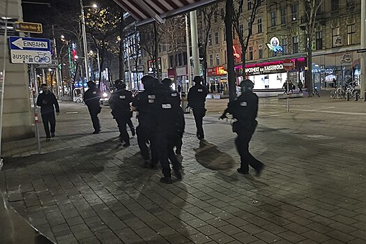 Очевидцы описали нападения в Вене