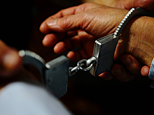 Коммерсант, который украл более 41,5 млн рублей при ремонте школы в Ялте, пытался сбежать за границу