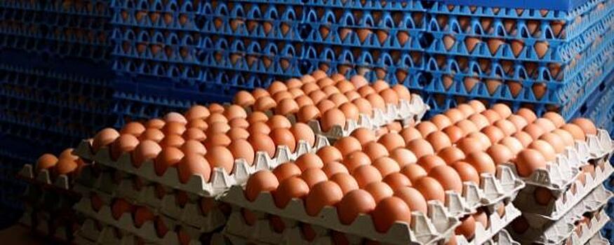 Ученые обнаружили пользу яиц в развитии мозга
