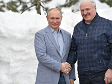 Путин и Лукашенко провели переговоры в Сочи