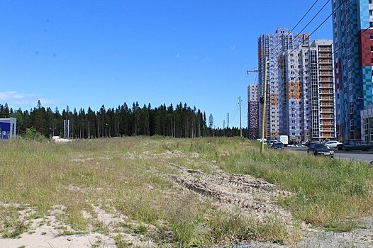 Пешеходные дорожки, скамейки. Что еще появится на аллее Энтузиастов в Петрозаводске?