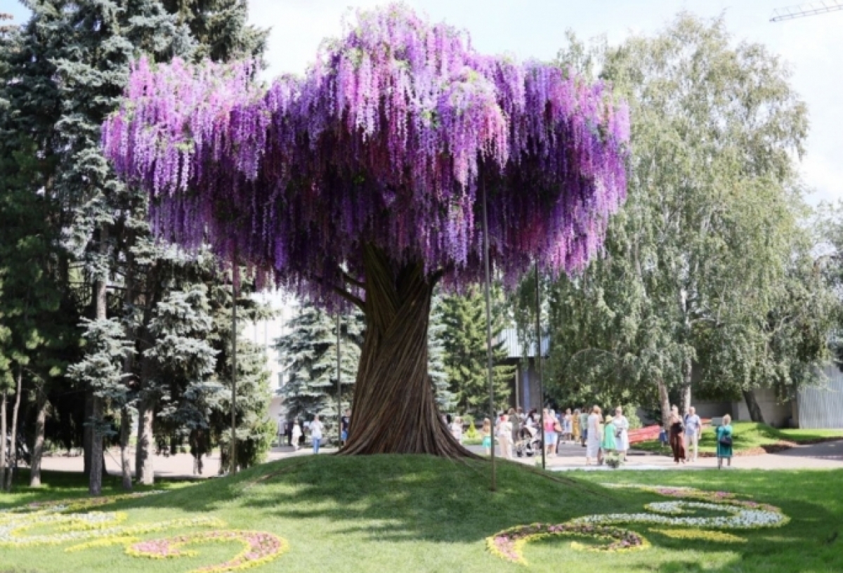 Омская выставка «Флора» откроется в этом году 2 августа