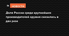 Доля России среди крупнейших производителей оружия снизилась в два раза