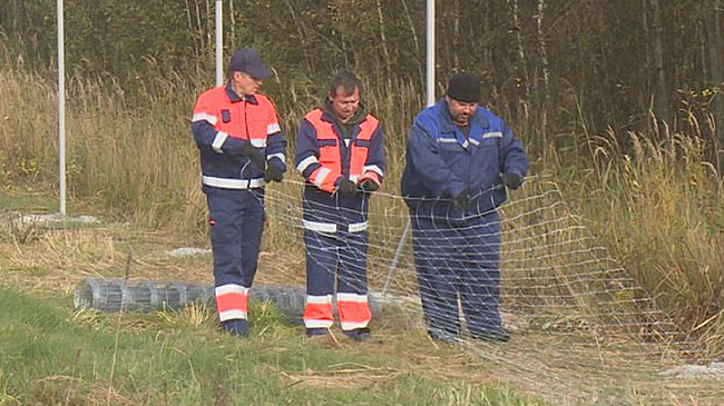 В Псковской области начали устанавливать защитные ограждения