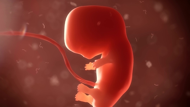 Женщина с удаленной маткой едва не умерла от внематочной беременности