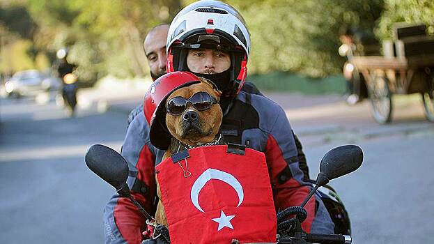 Экономике Турции предрекли тяжелые дни