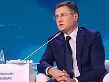 Новак ожидает выход уровня газификации в РФ по итогам года на 75%