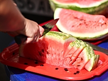 Камышинский арбузный фестиваль стал финалистом международного конкурса