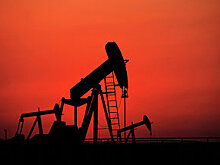 Нефть подорожала вопреки росту добычи и запасов в США