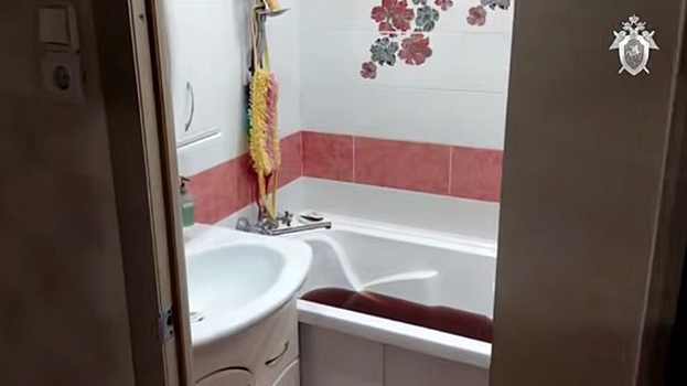 Решил зарезать семью: что известно об убийстве женщины и детей в Ульяновске