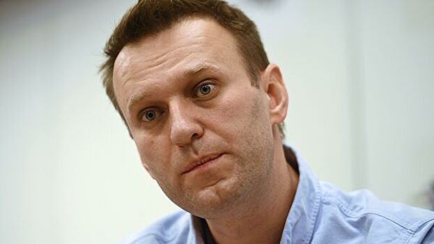 Французский сенатор предположил, кто причастен к инциденту с Навальным