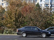 На севере Крыма превышений загрязнения воздуха не зафиксировано