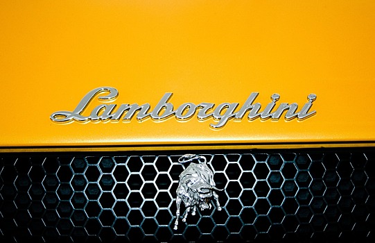 Открыто демонстрировала роскошную жизнь: американка купила на пособия Lamborghini и попала под арест