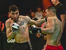 В Сочи пройдет турнир по кулачным боям TOP DOG 23