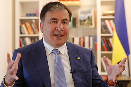 Саакашвили раскрыл реформаторские планы