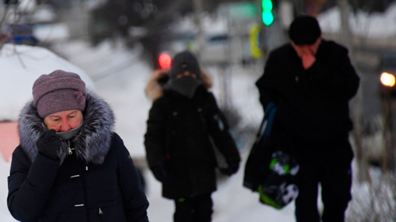 Морозы 2021. Штат техас 2021 зима. Сильный мороз. Морозы в техасе 2021. Зима.