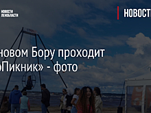 В Сосновом Бору проходит «СерфПикник» - фото