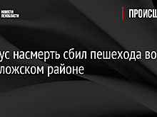 Автобус насмерть сбил пешехода во Всеволожском районе