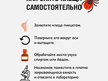 Нижегородские врачи рассказали, как правильно снять с себя клеща