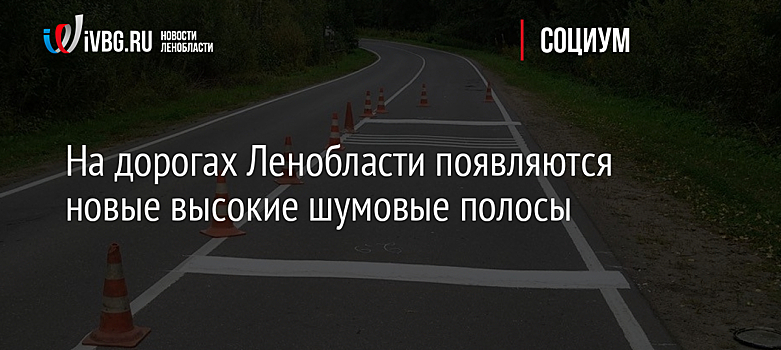 На дорогах Ленобласти появляются новые высокие шумовые полосы