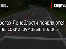 На дорогах Ленобласти появляются новые высокие шумовые полосы