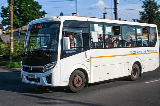 В Пушкинском горокруге выявили самые «проблемые» автобусные маршруты
