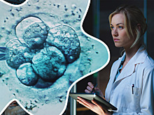 6 мифов о замораживании яйцеклеток