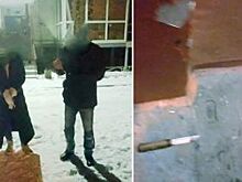 В Миассе конфликт зоозащитников с горожанами закончился поножовщиной