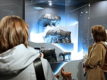 Что общего между Гжелью и динозаврами, расскажет новая выставка в усадьбе Измайлово