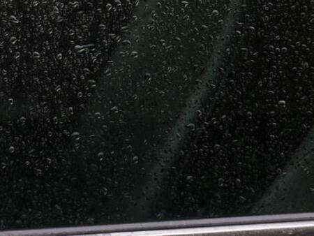 «Ветерок нежно колышет арматуру»: приморцы соревнуются в «ураганном» чувстве юмора