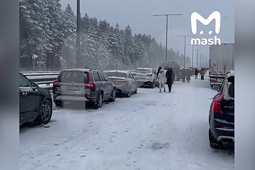 Последствия массового ДТП на трассе Санкт-Петербург — Москва попали на видео