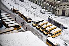 Еще 55 новых школьных автобусов получили районы Новосибирской области