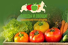 Как PepsiCo помогает местным поставщиком расскажет Юрий Марченко на выставке «Плоды и овощи России 2021» в Краснодаре