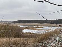 Экологические проекты Курской области поддержат федеральные эксперты